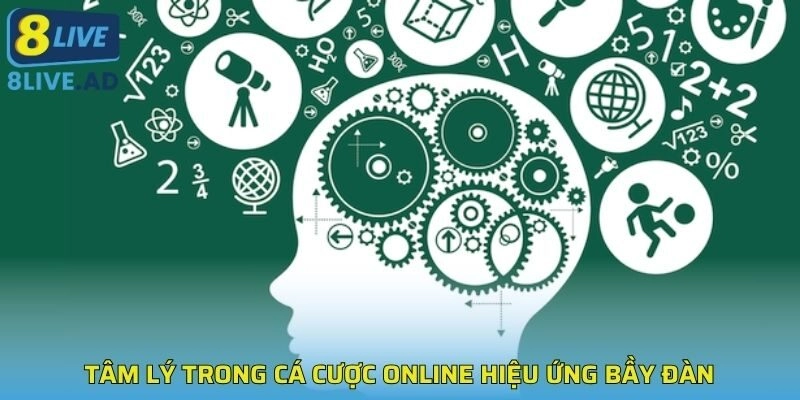 Tâm lý trong cá cược online hiệu ứng bầy đàn Tâm lý trong cá cược online hiệu ứng bầy đàn